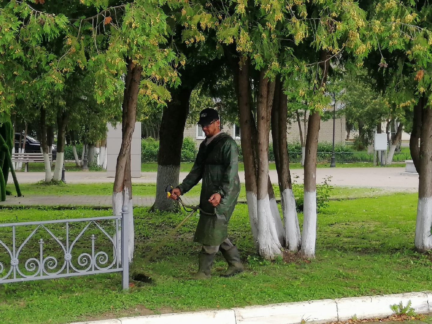 городской округ восход, жкх, благоустройство, газон, покос травы,
