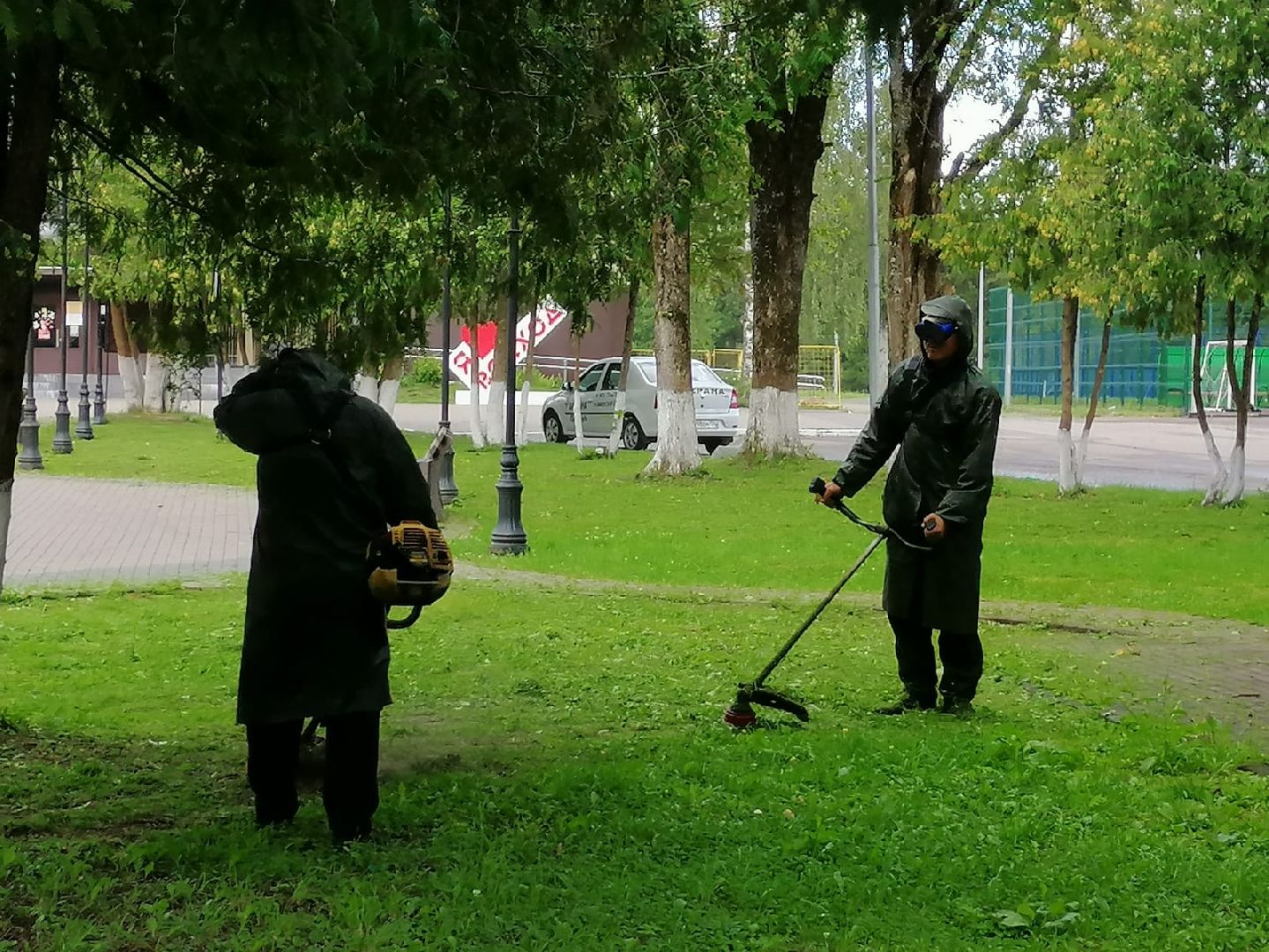 городской округ восход, жкх, благоустройство, газон, покос травы,