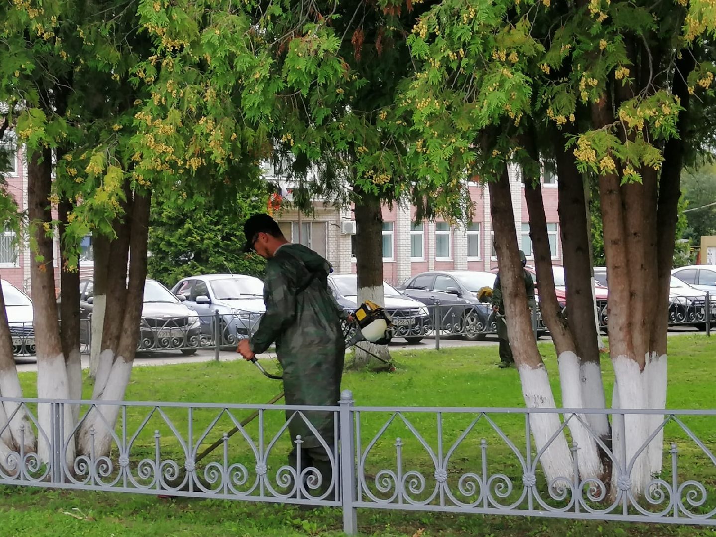 городской округ восход, жкх, благоустройство, газон, покос травы,