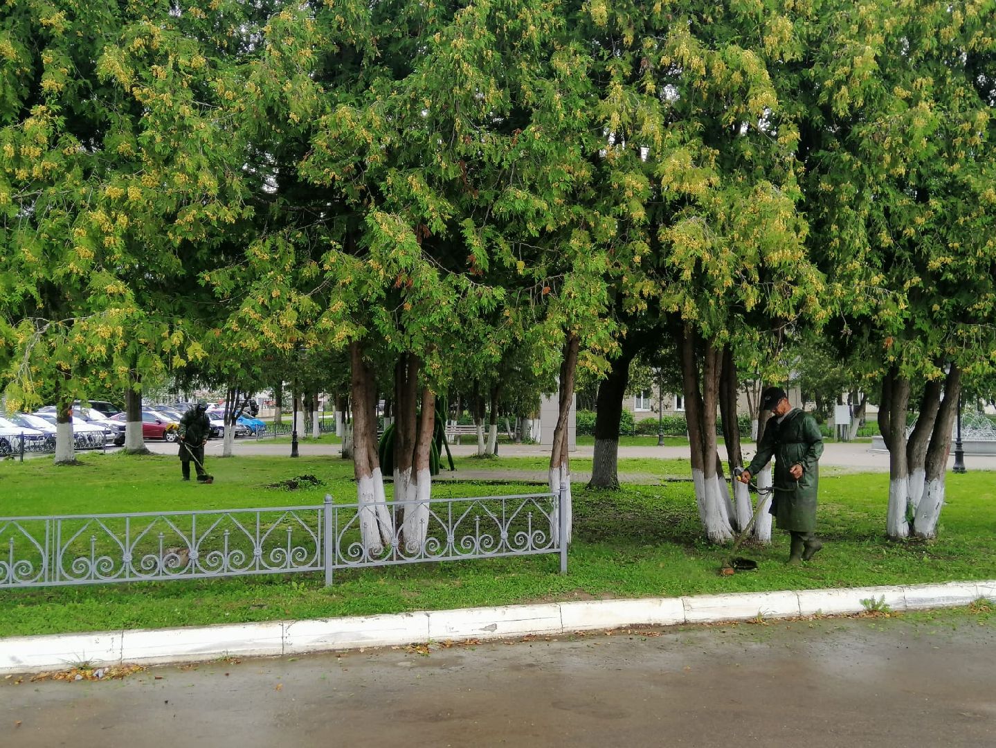 городской округ восход, жкх, благоустройство, газон, покос травы,