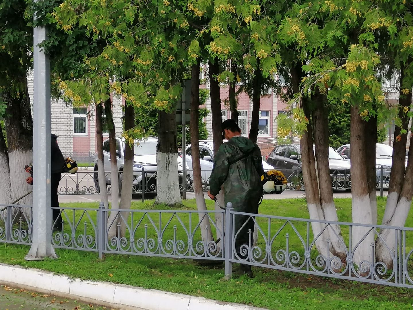 городской округ восход, жкх, благоустройство, газон, покос травы,