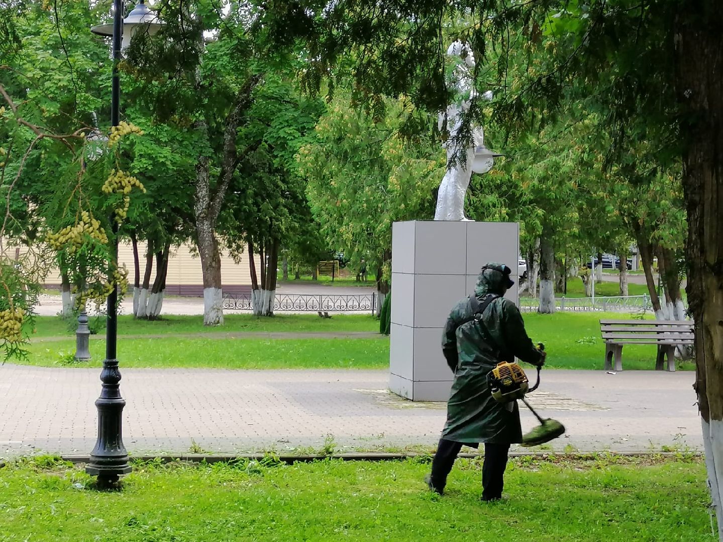 городской округ восход, жкх, благоустройство, газон, покос травы,