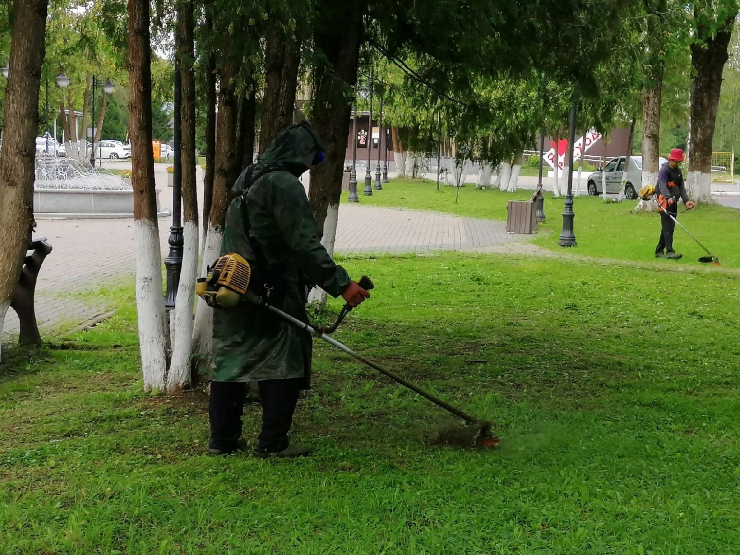 городской округ восход, жкх, благоустройство, газон, покос травы,
