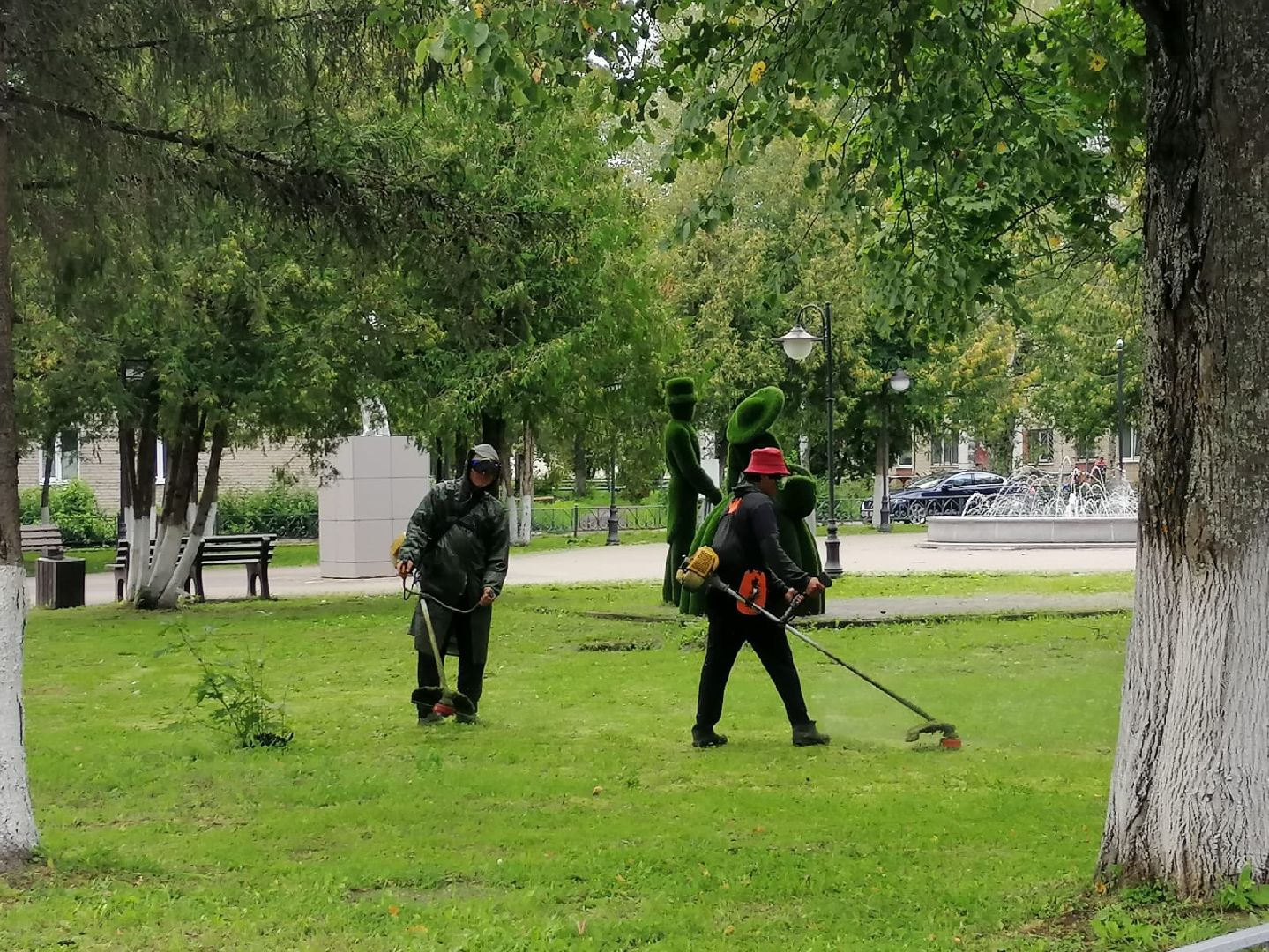 городской округ восход, жкх, благоустройство, газон, покос травы,