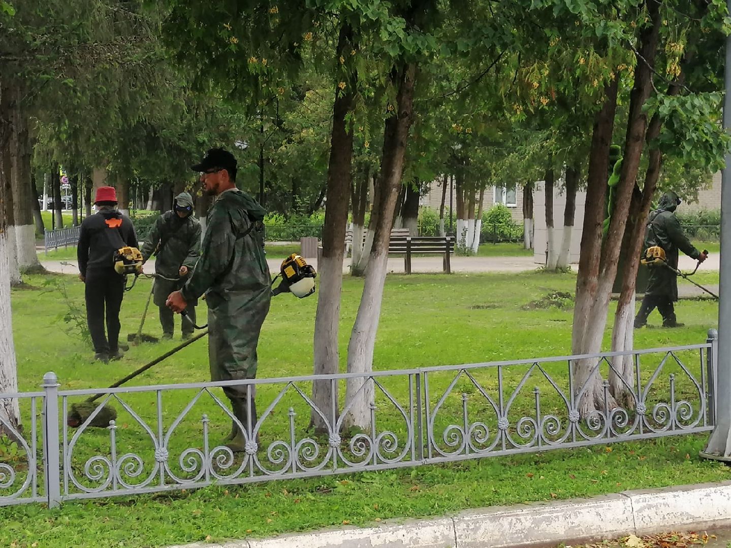 городской округ восход, жкх, благоустройство, газон, покос травы,