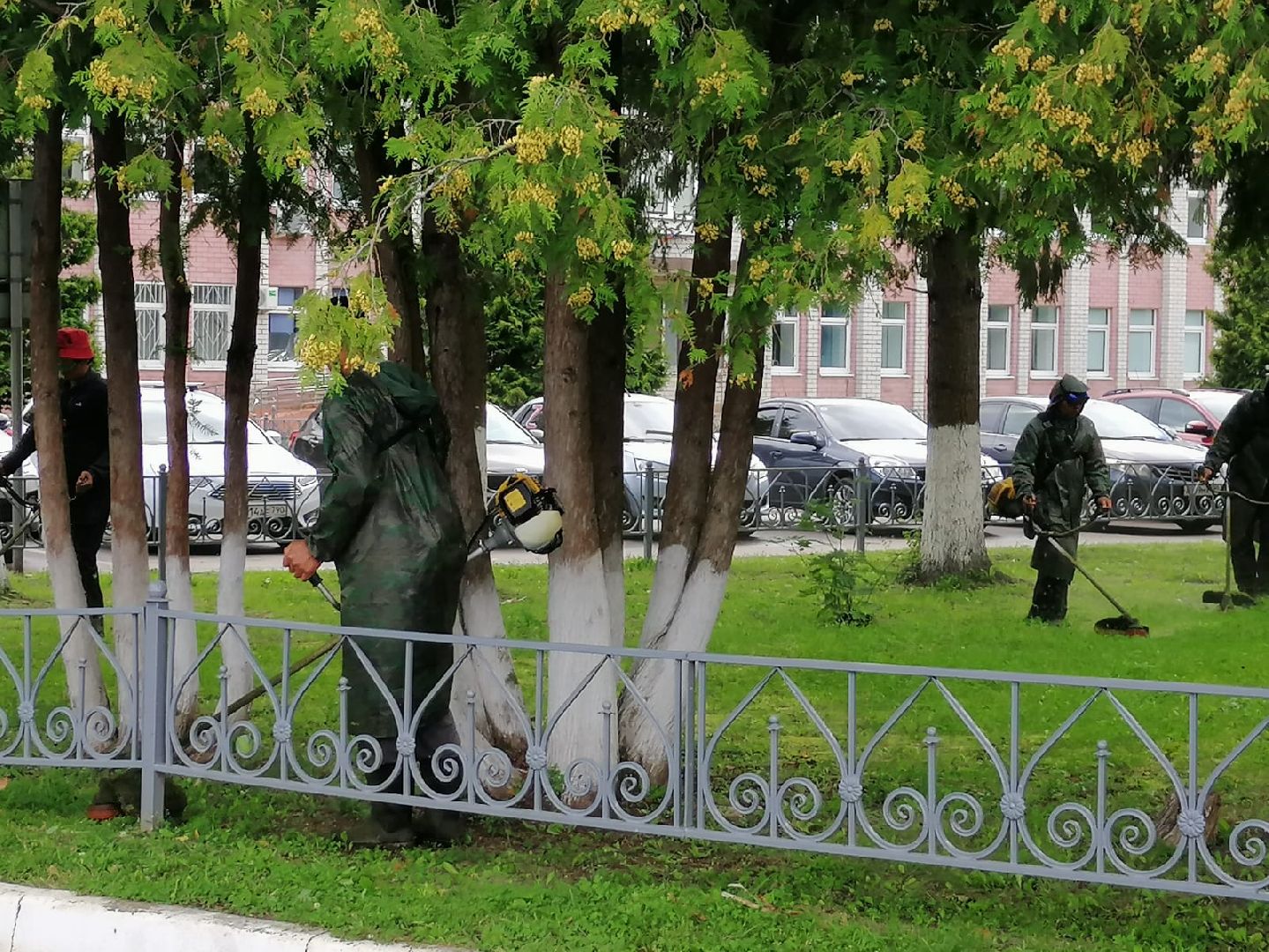 городской округ восход, жкх, благоустройство, газон, покос травы,