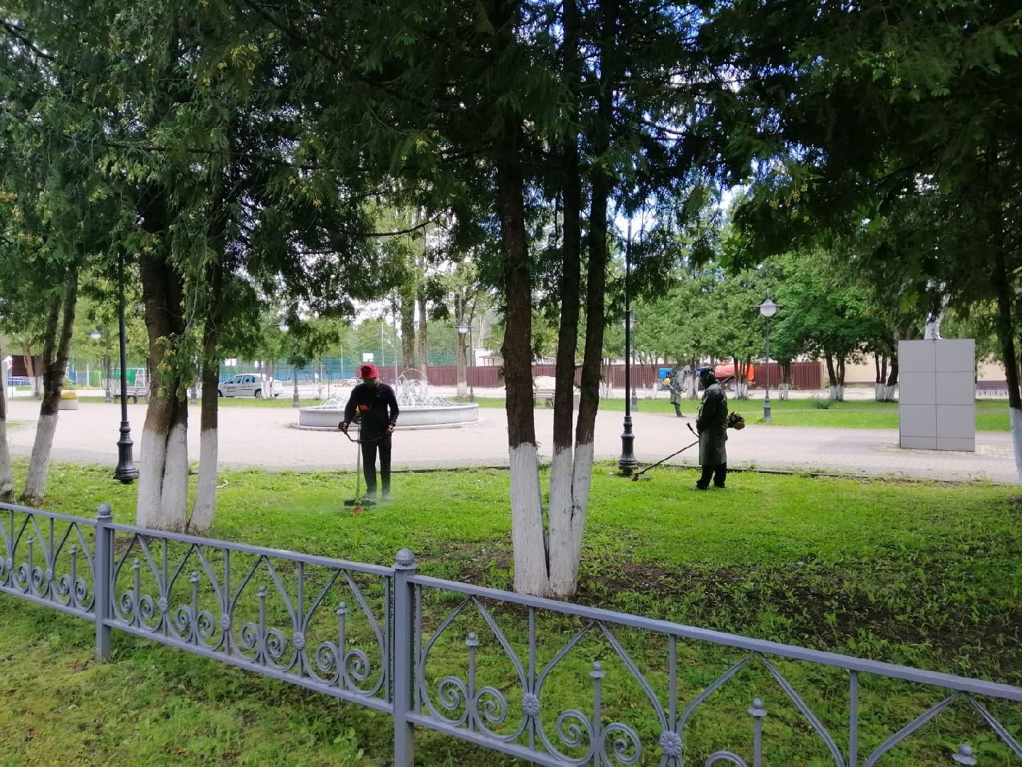 городской округ восход, жкх, благоустройство, газон, покос травы,