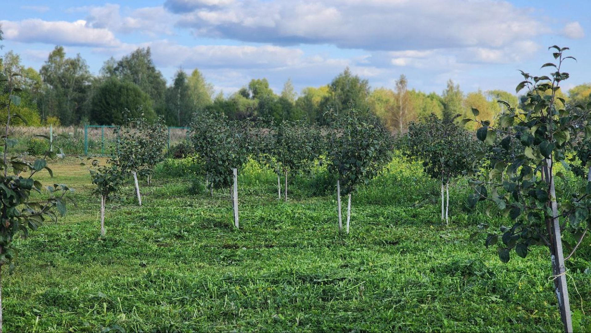 луховицы, сельское хозяйство,