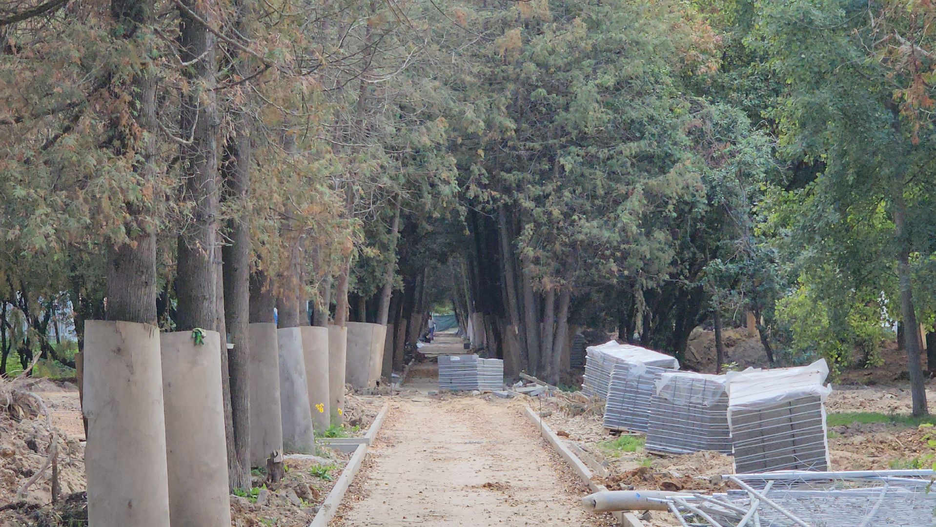 серпухов, парк питомник в серпухове, реконструкция парка питомник в серпухове,