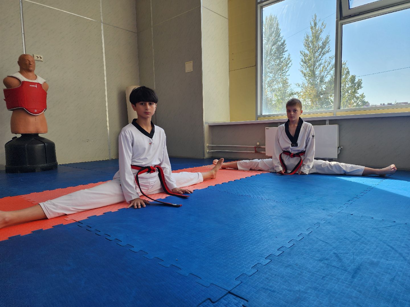 фрязино, тхэквондо, спорт, тренировка,