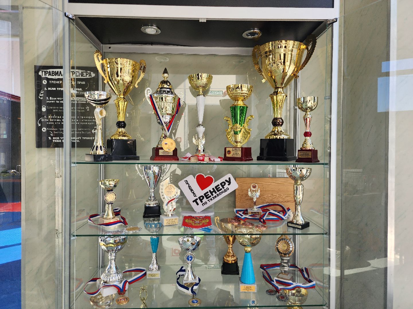 фрязино, тхэквондо, спорт, тренировка,