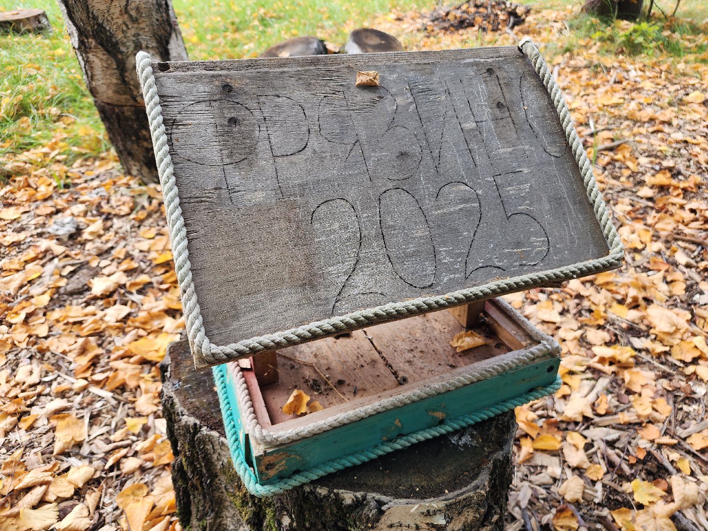 фрязино, грибы в лесу, лесопарк, кормушки,