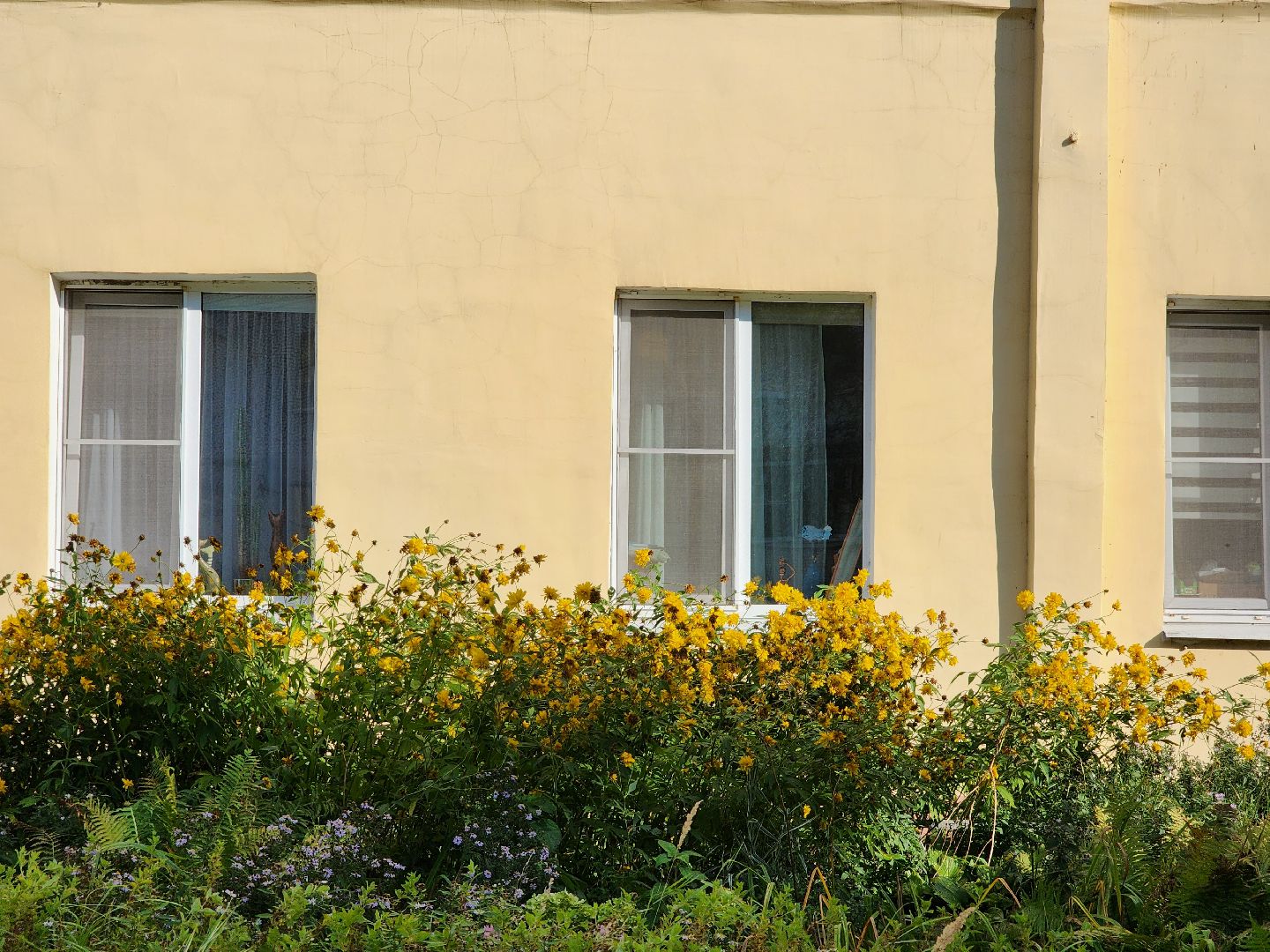 выездная администрация, прием жителей, обращения жителей, рабочий поселок обухово, богородский городской округ,