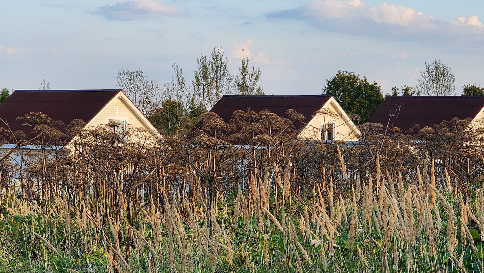 истра, выездная администрация,