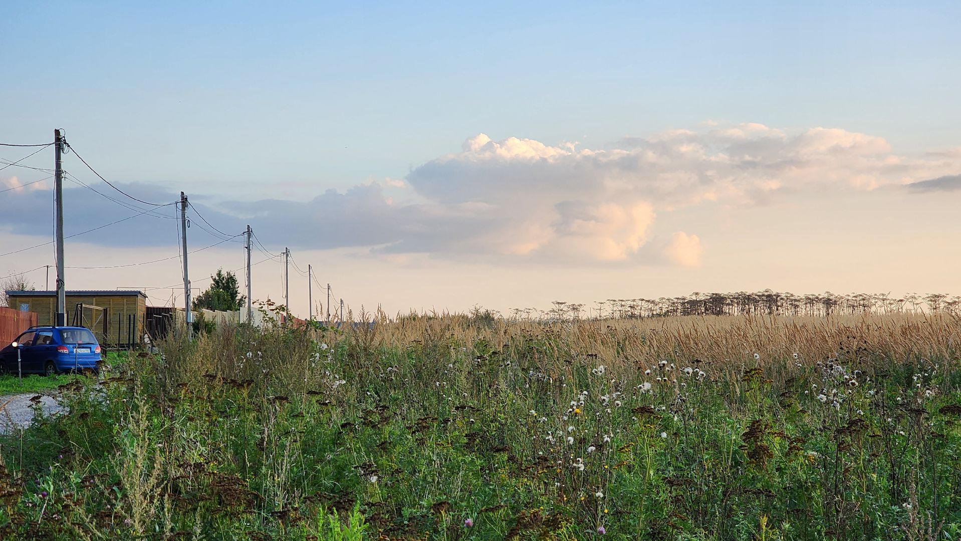 истра, выездная администрация,