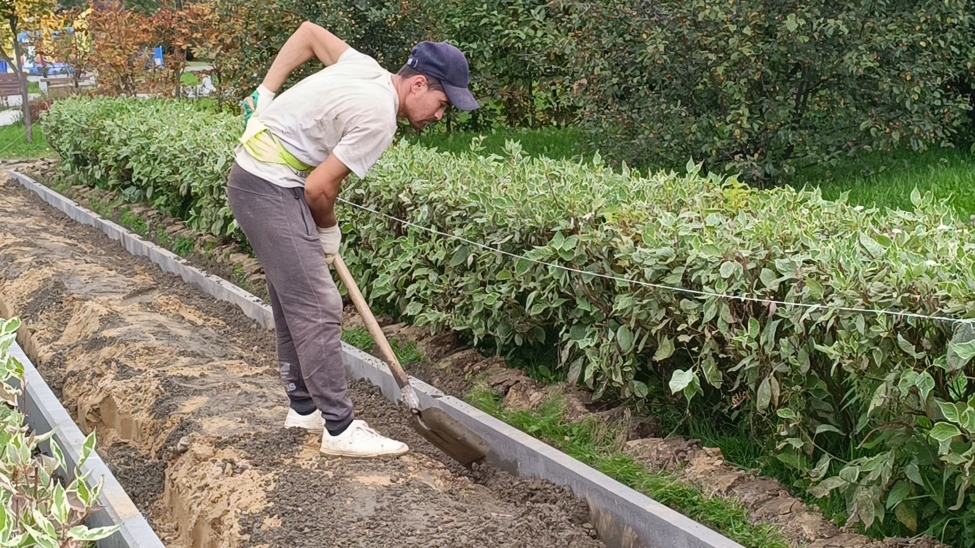 парк, лобня, пешеходная дорожка,