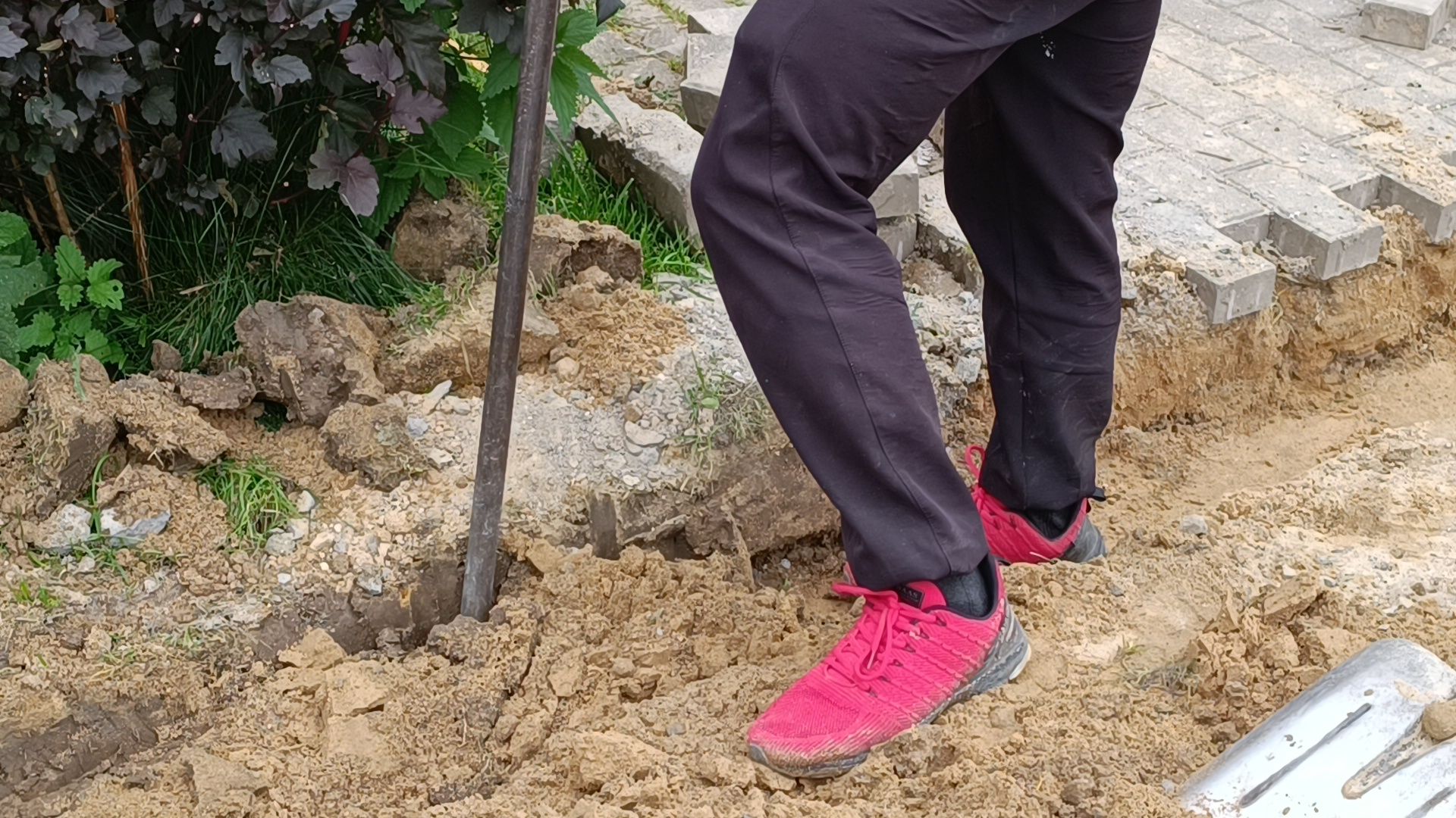 парк, лобня, пешеходная дорожка,