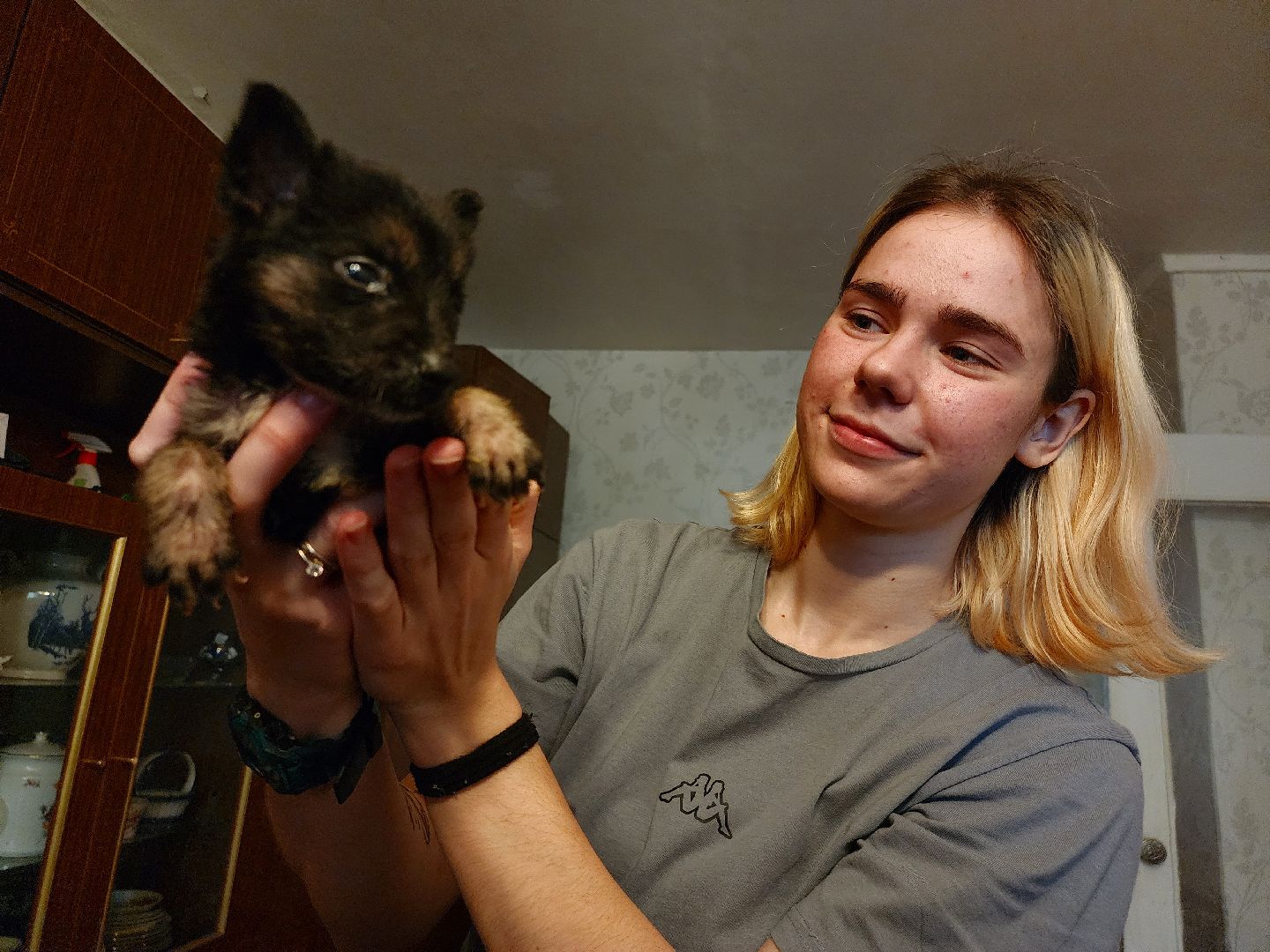 наро-фоминск, добрые дела, благо твори,   щенки, собачья жизнь,