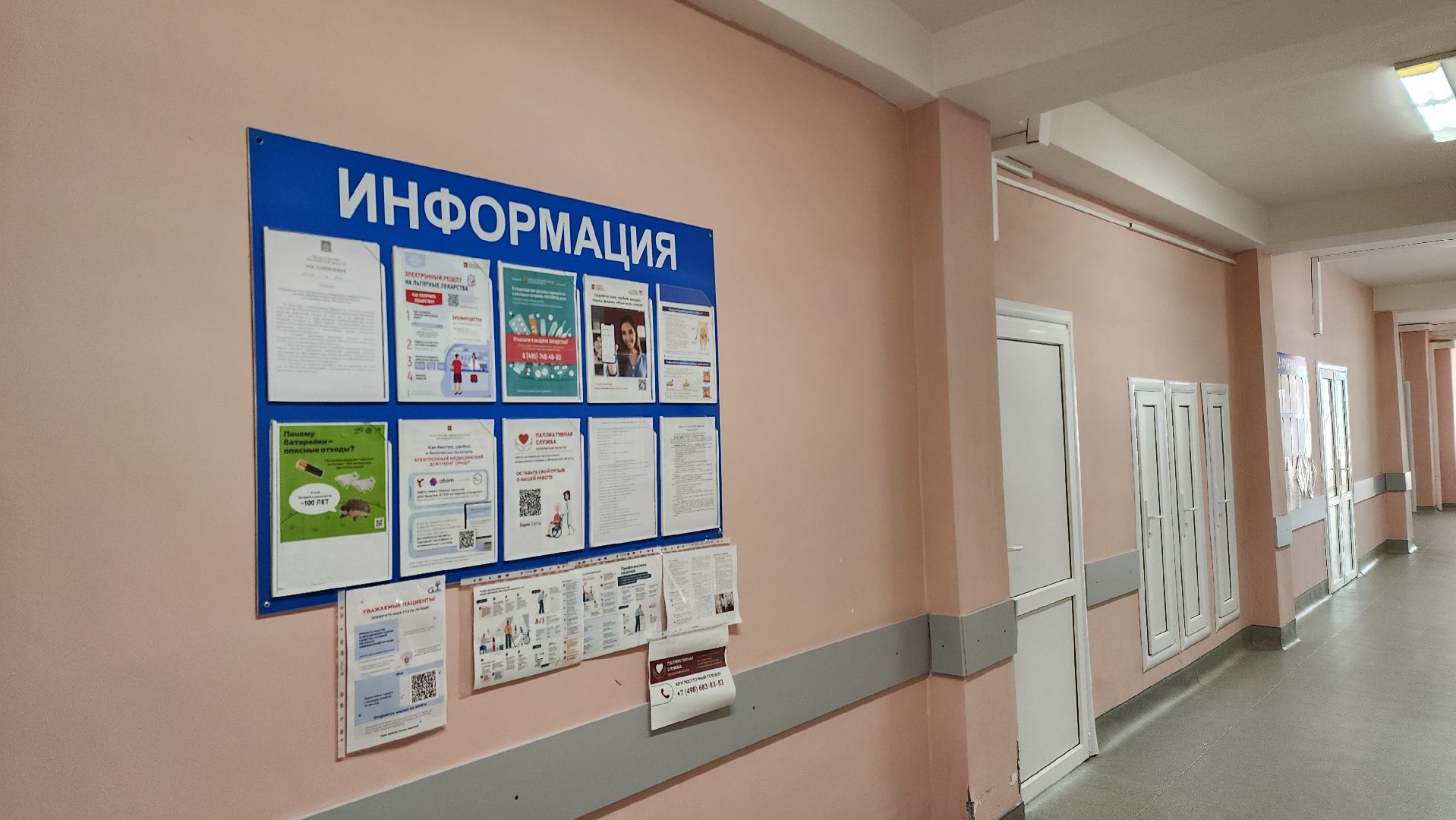 Зарайск, Медицина, Факты о гриппе, зарайская больница,