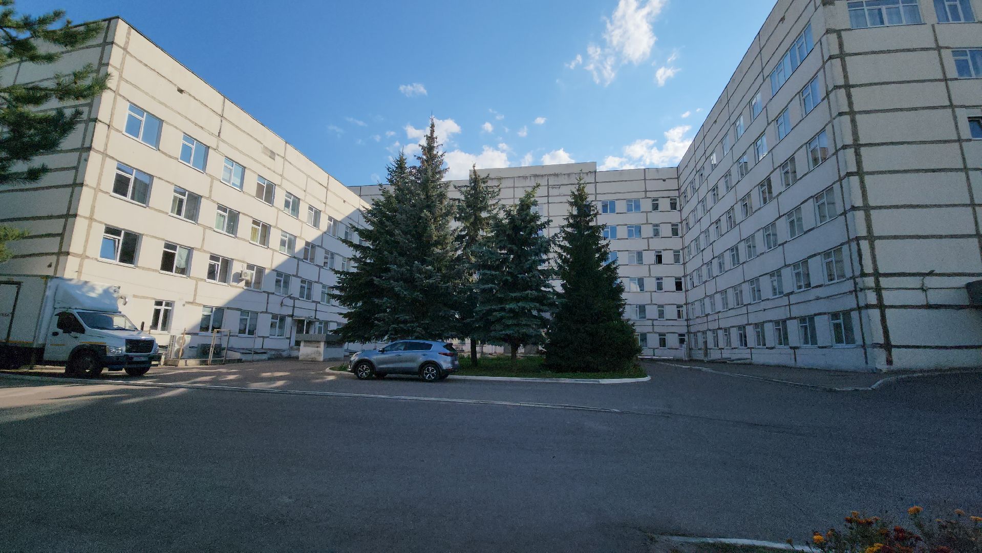 Зарайск, Медицина, Факты о гриппе, зарайская больница,