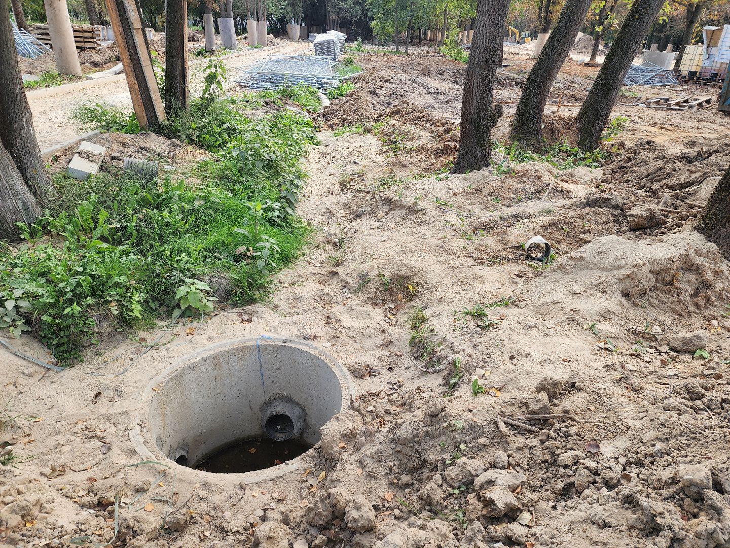 серпухов парк питомник, реконструкция парка питомник в серпухове, благоустройство в серпухове,