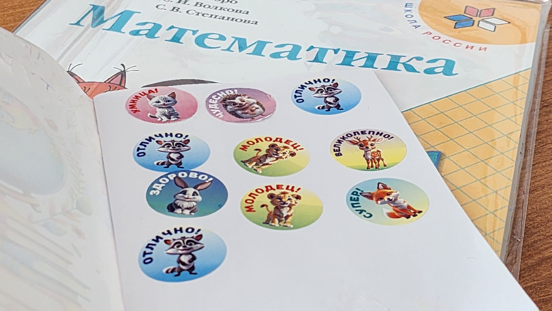 Руза , Тучково, образование, новый учитель,