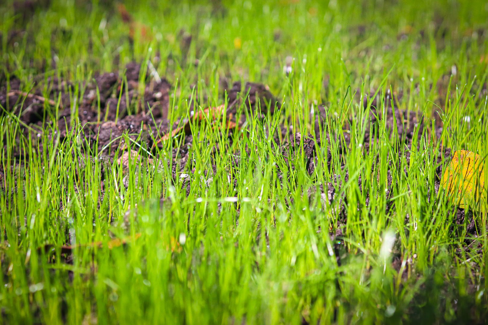 клин, дороги, благоустройство, ремонт дорог, общество, подмосковье,