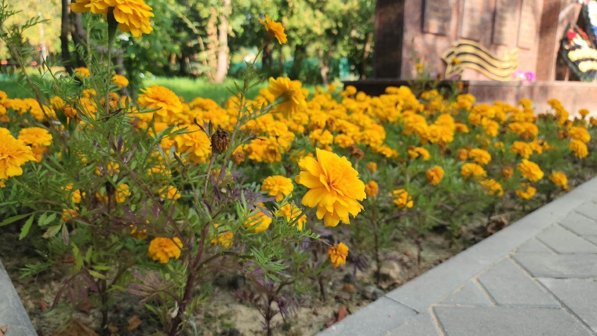 щёлково, реконструкция памятника, мемориал вов,