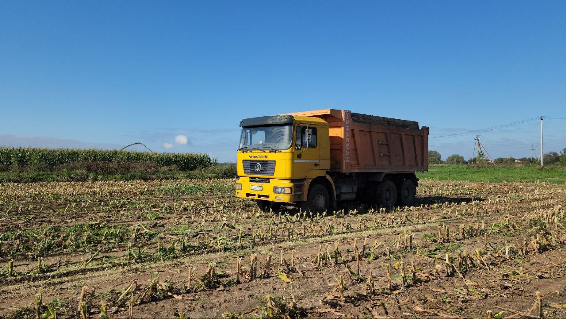 луховицы, сельское хозяйство,