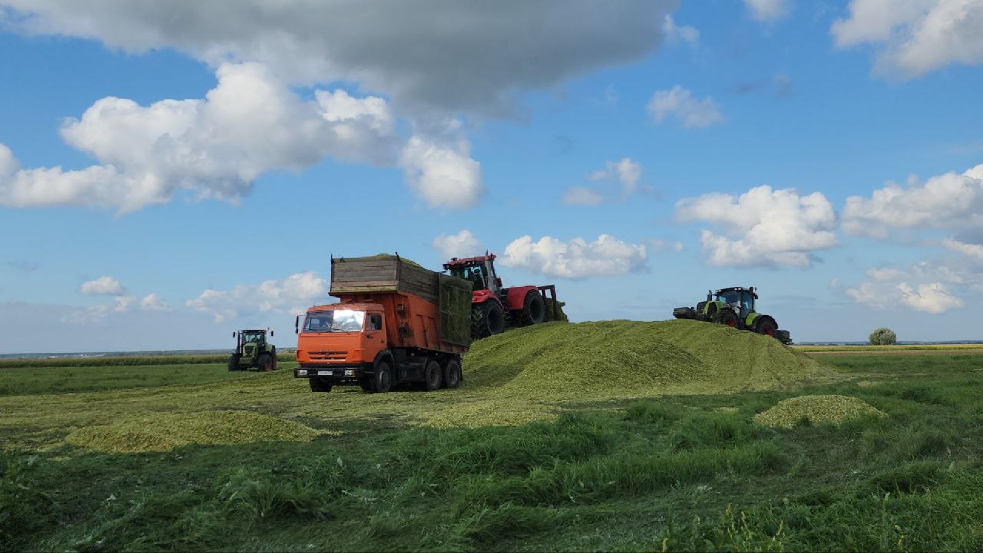 луховицы, сельское хозяйство,