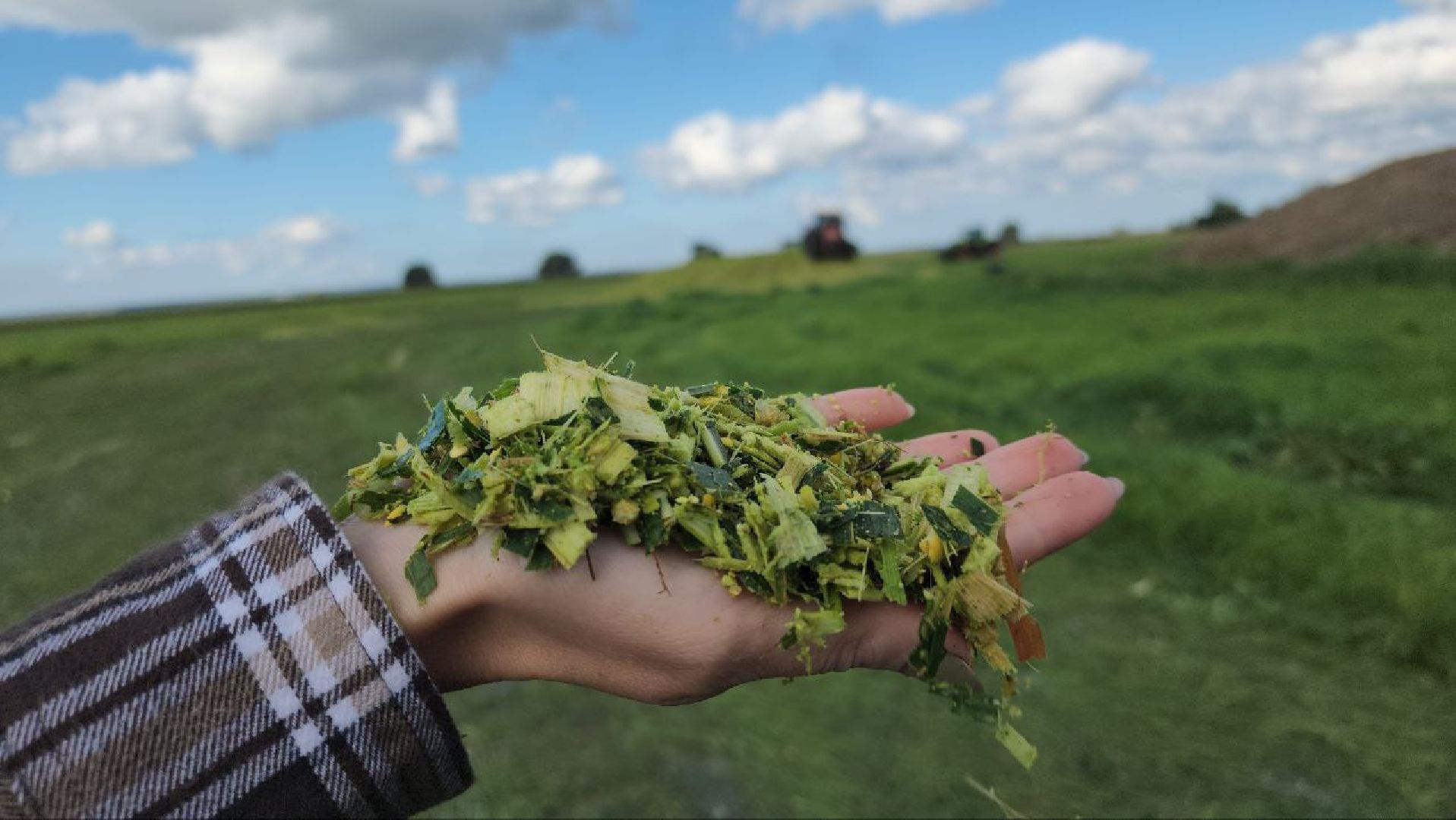 луховицы, сельское хозяйство,