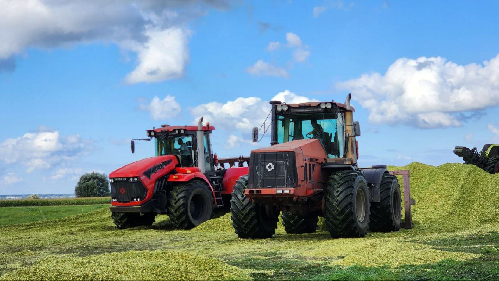 луховицы, сельское хозяйство,