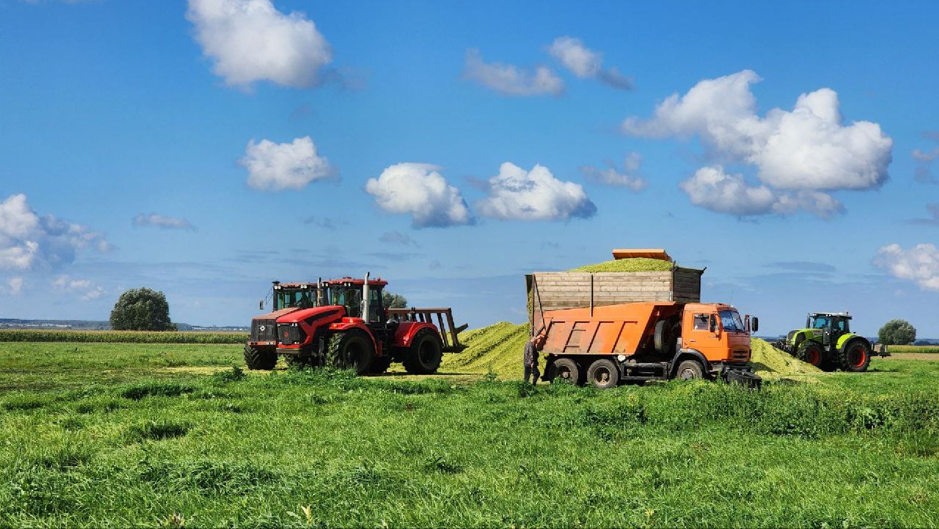 луховицы, сельское хозяйство,