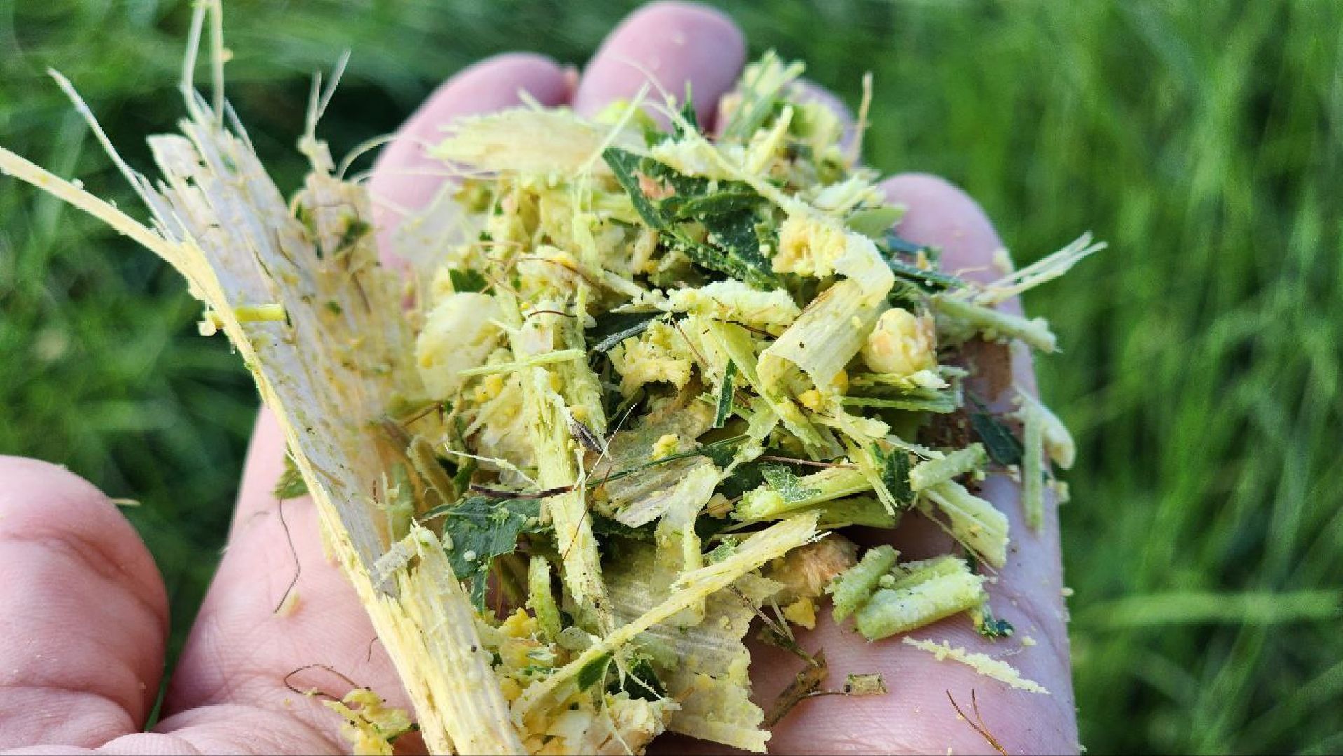 луховицы, сельское хозяйство,