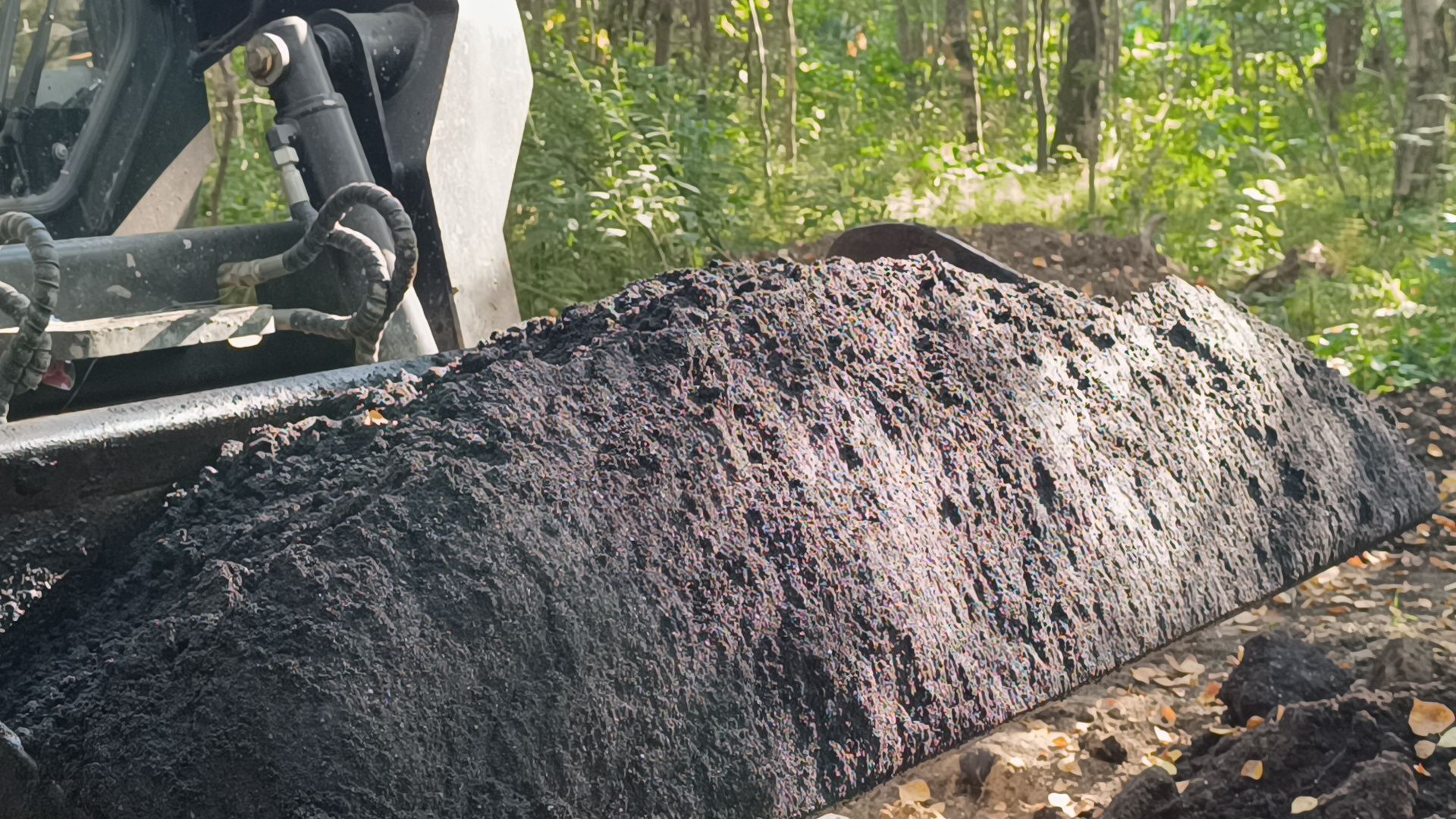 север, лобня, благоустройство,