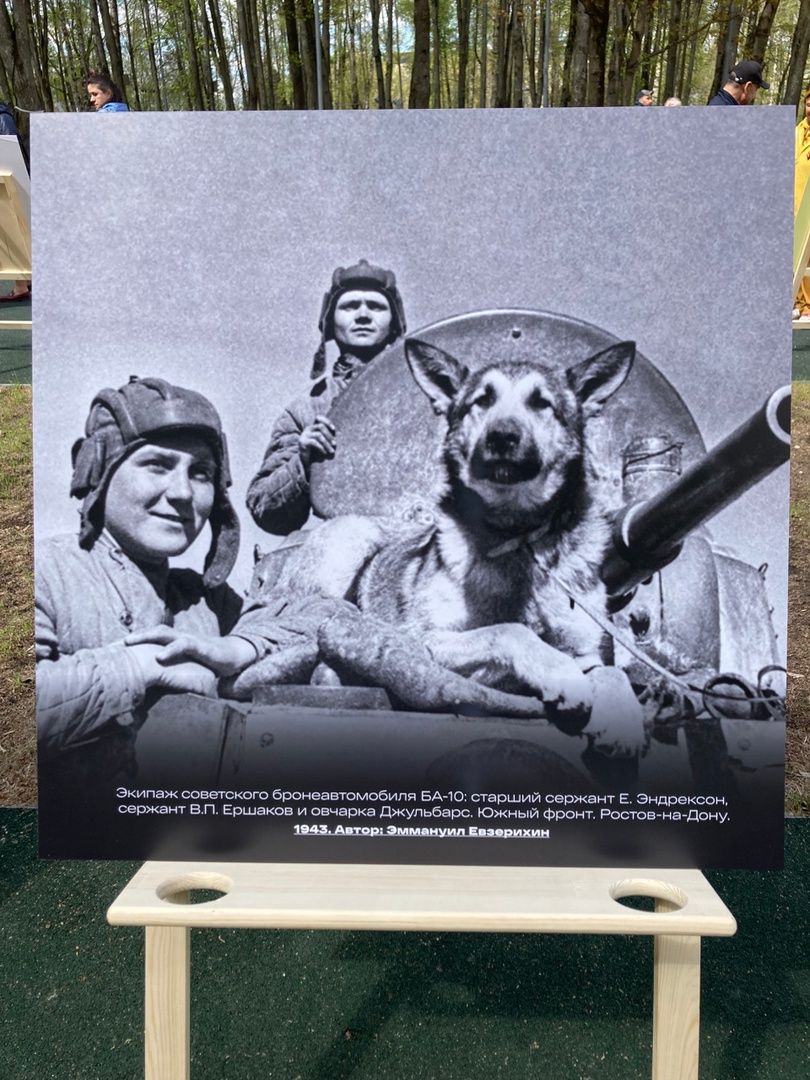 Солнечногорск, День Победы, фотография, выставка, ретроспектива