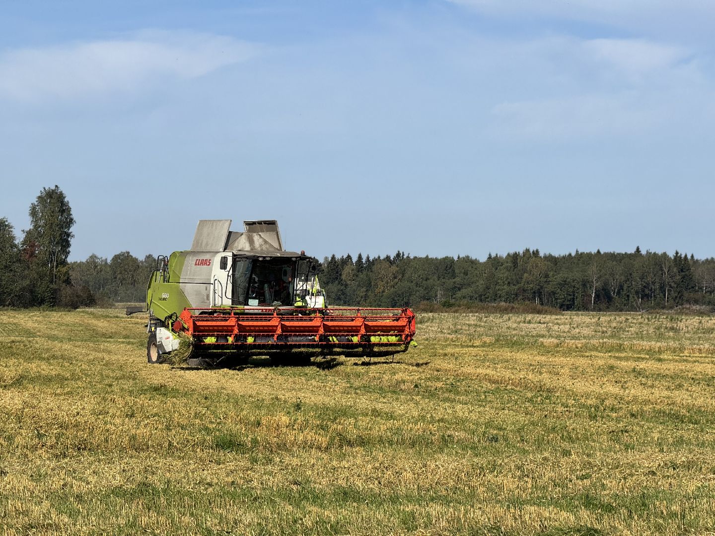 шаховская, уборка урожая, сельское хозяйство, уборка пшеницы,