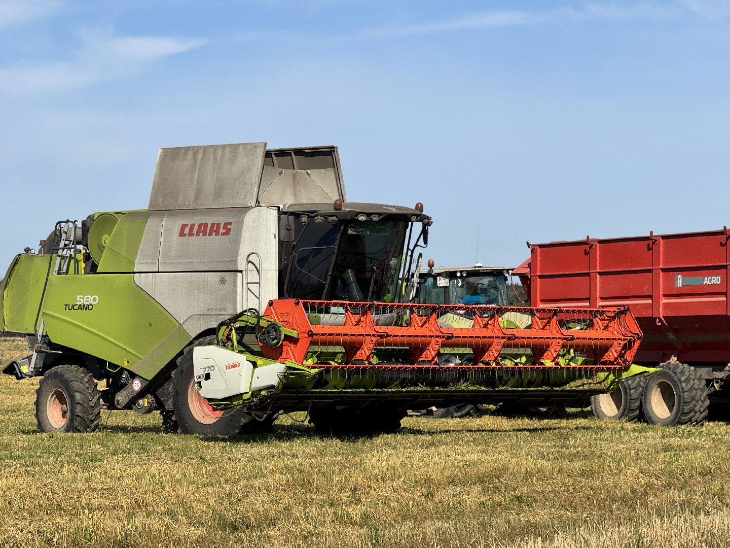 шаховская, уборка урожая, сельское хозяйство, уборка пшеницы,