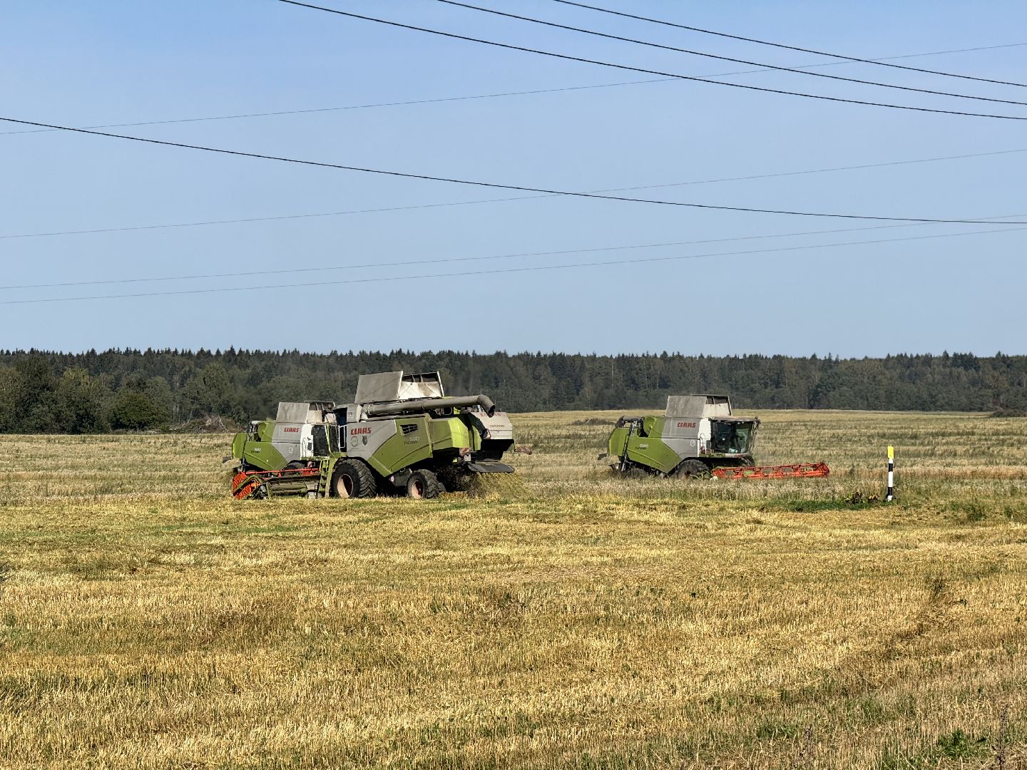 шаховская, уборка урожая, сельское хозяйство, уборка пшеницы,