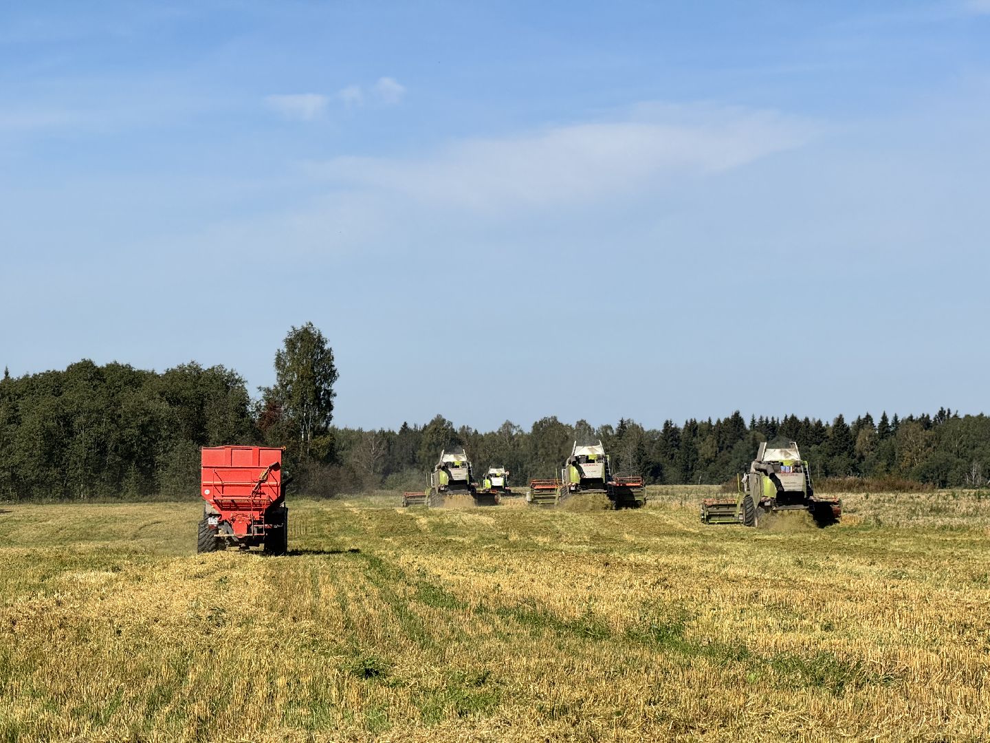 шаховская, уборка урожая, сельское хозяйство, уборка пшеницы,