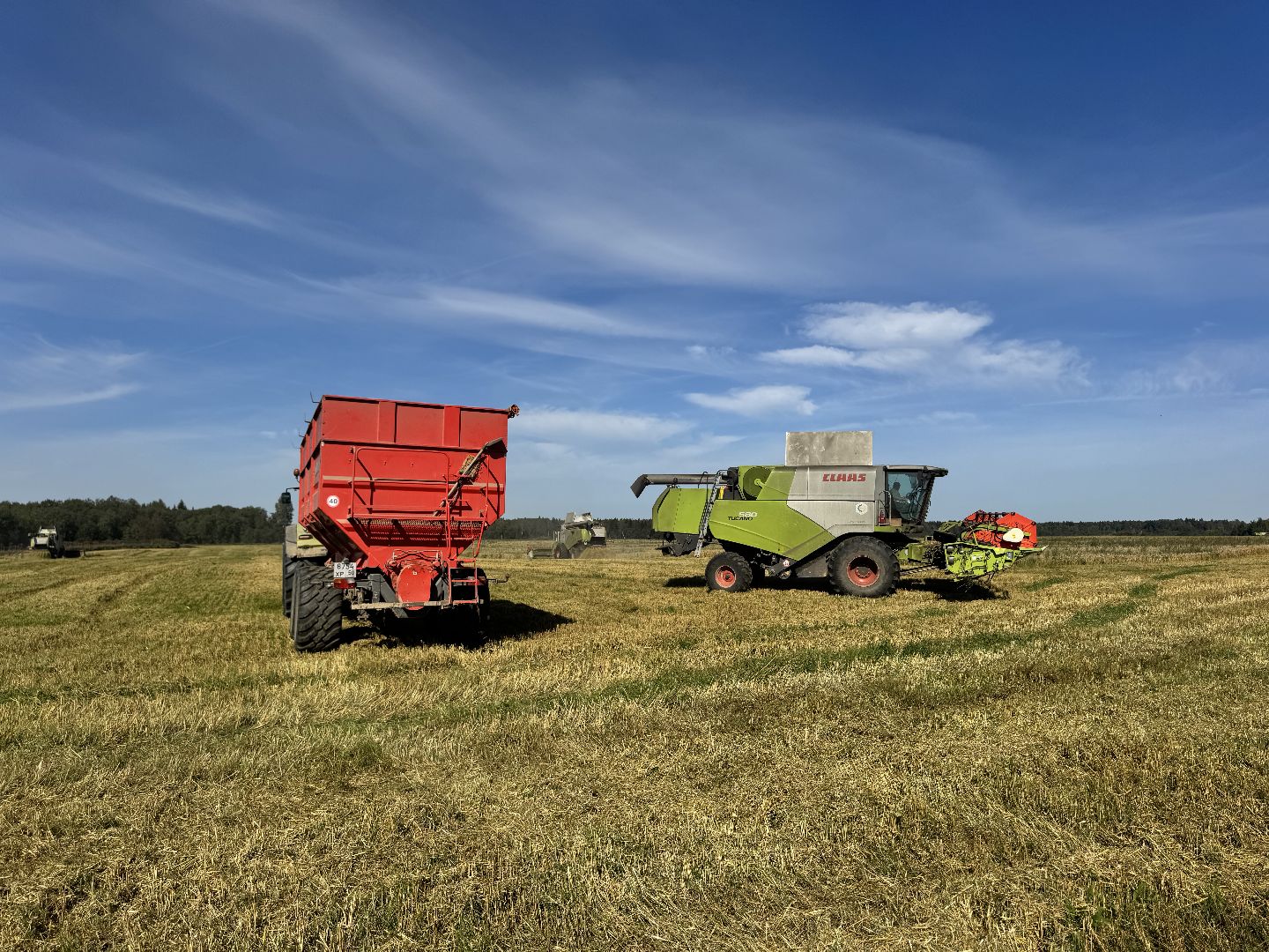 шаховская, уборка урожая, сельское хозяйство, уборка пшеницы,