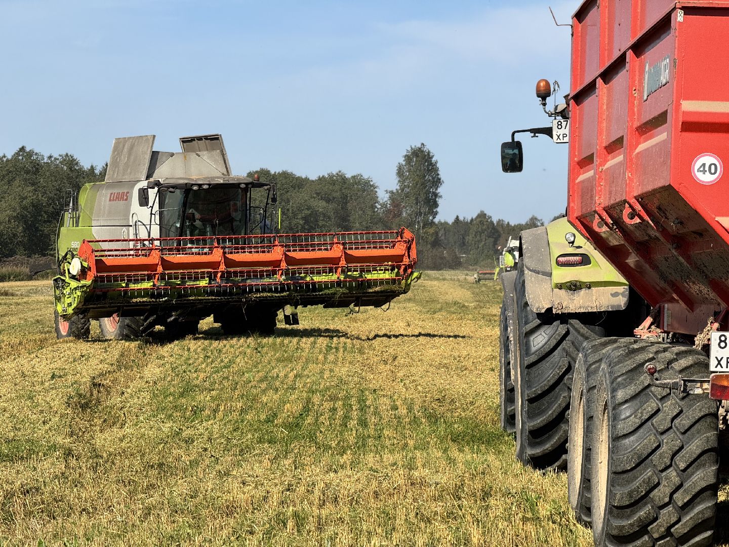 шаховская, уборка урожая, сельское хозяйство, уборка пшеницы,