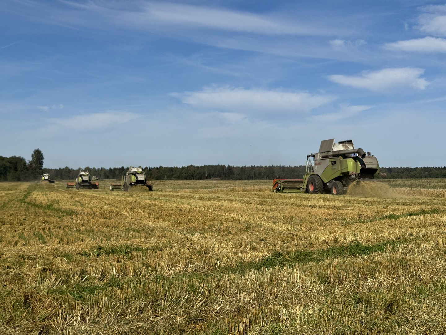 шаховская, уборка урожая, сельское хозяйство, уборка пшеницы,