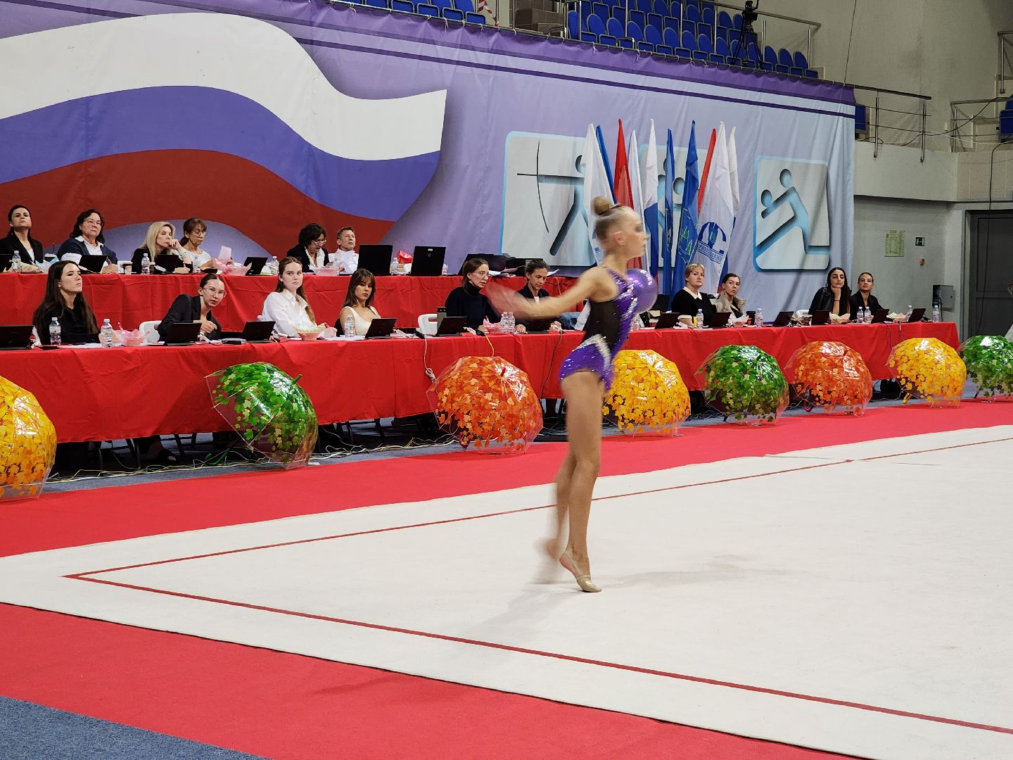 раменское, спорт, турнир по художественной гимнастике триумф,