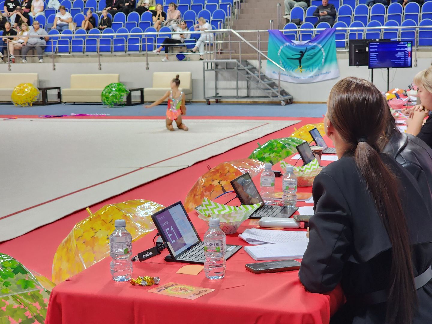 раменское, спорт, турнир по художественной гимнастике триумф,