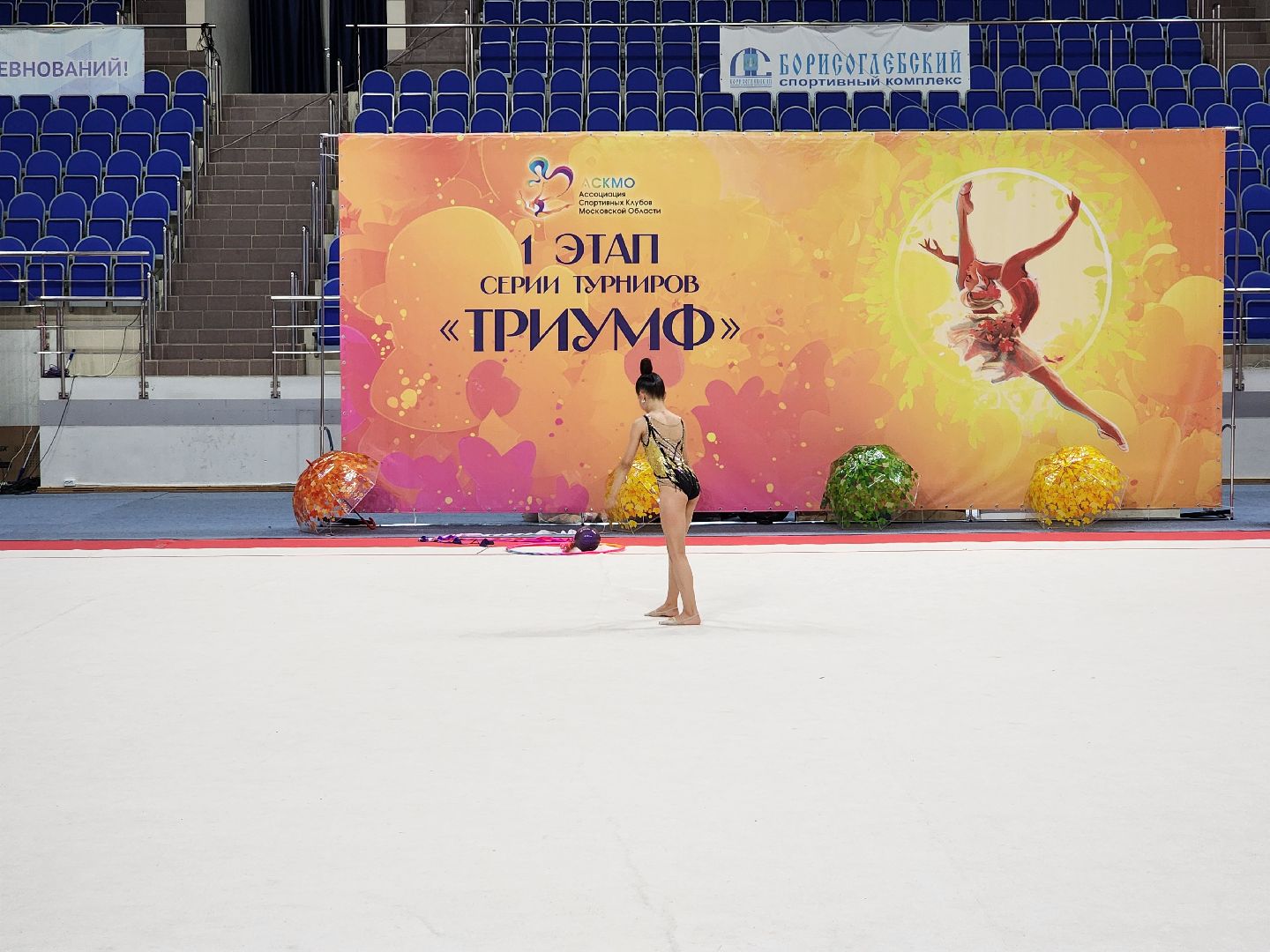 раменское, спорт, турнир по художественной гимнастике триумф,