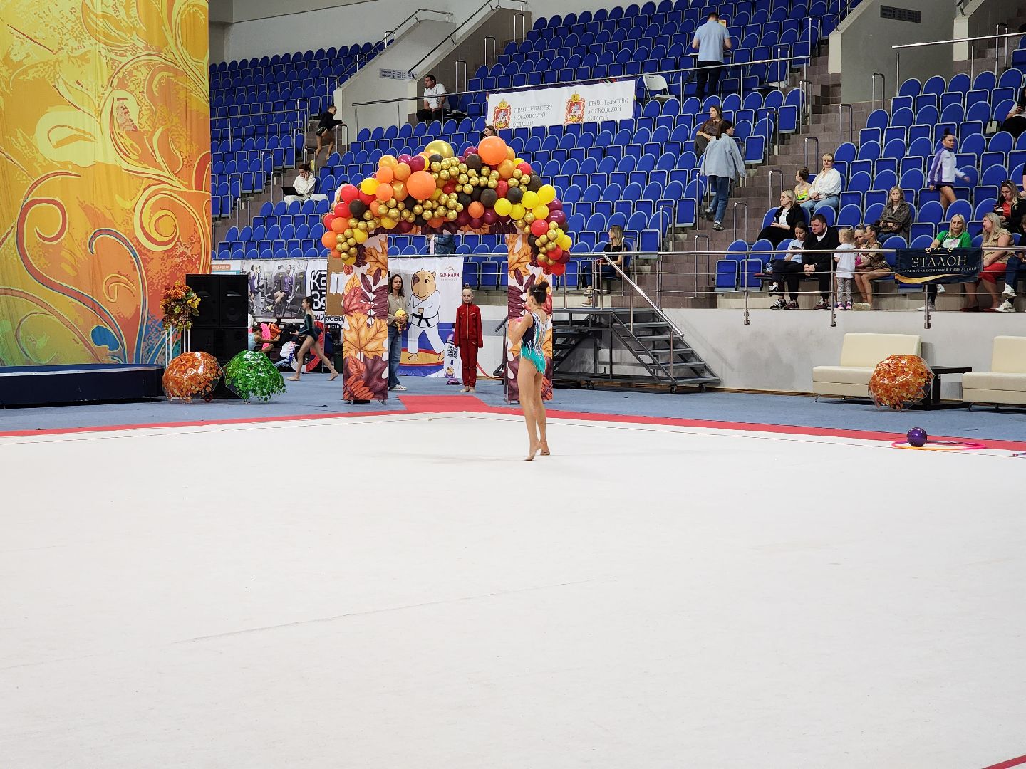 раменское, спорт, турнир по художественной гимнастике триумф,