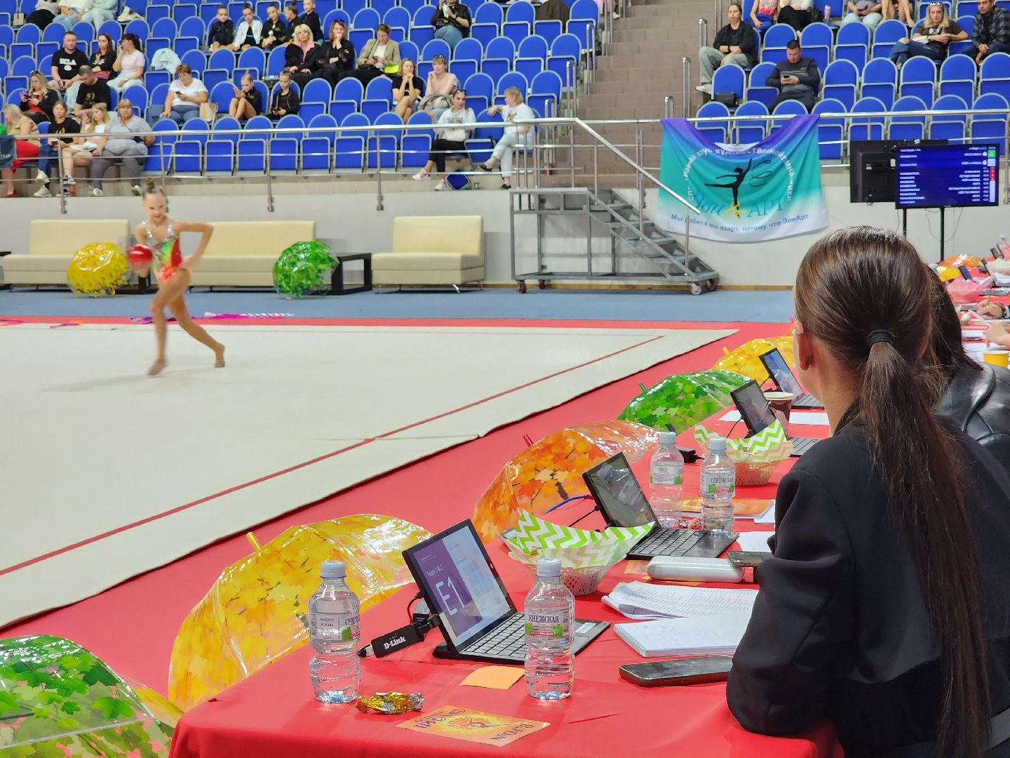 раменское, спорт, турнир по художественной гимнастике триумф,