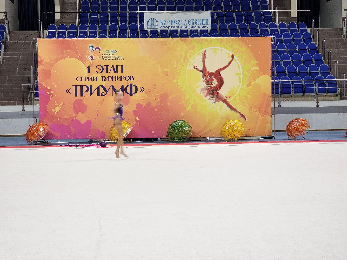 раменское, спорт, турнир по художественной гимнастике триумф,