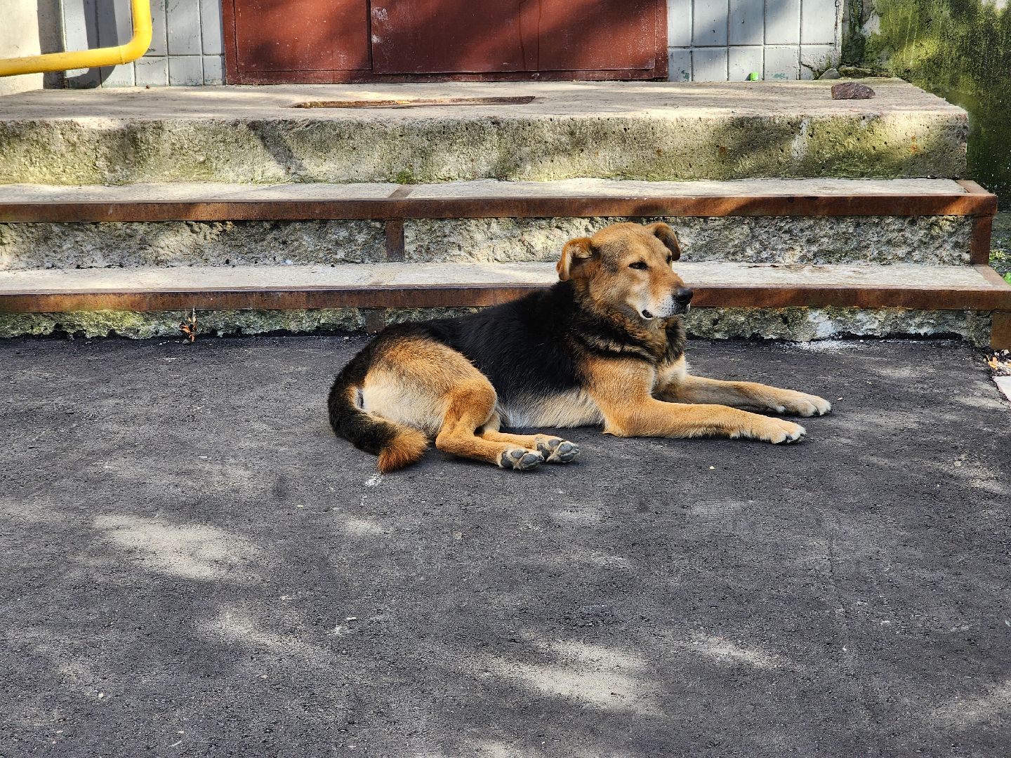 благоустройство дворовых территорий, комплексное благоустройство, комфортная городская среда, старая купавна, богородский городской округ,